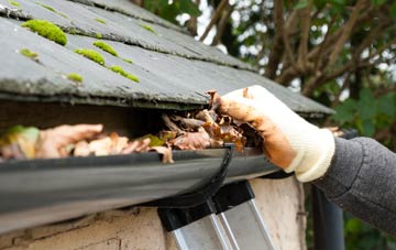 gutter cleaning Tregare, Monmouthshire